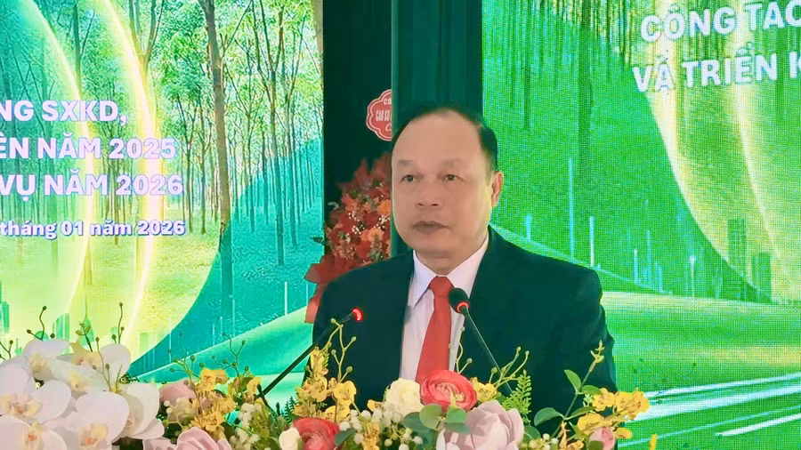 tinh-uy-vien-pho-chu-tich-ubnd-tinh-gia-lai-duong-mah-tiep-phat-bieu-tai-hoi-nghi.jpg