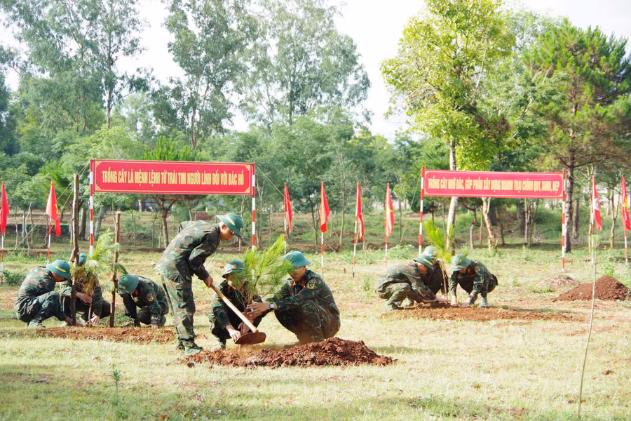 can-bo-chien-si-su-doan-320-ra-quan-thuc-hien-tet-trong-cay-doi-doi-nho-on-bac-ho.jpg