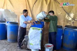 Xây dựng trang trại hữu cơ từ nuôi sâu can xi