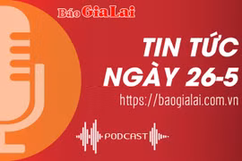 Tin tức sáng 26-5: Bắt giữ vận chuyển gỗ trái phép ở Ia Grai
