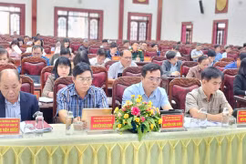 Pleiku tập trung nâng cấp xã Trà Đa lên phường