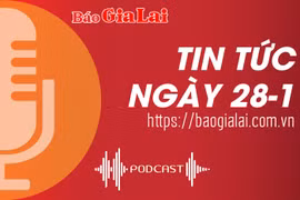 Tin tức sáng 28-1: Gia Lai phát hiện, xử lý 217 vụ buôn lậu, gian lận thương mại, hàng giả