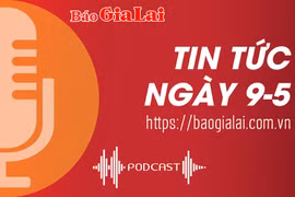 Tin tức sáng 9-5: Gia Lai thiệt hại do thiên tai khoảng 25,6 tỷ đồng