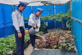Trường Sa! Tiếng gọi thẳm sâu nơi lòng biển - Bài 2: Những hòn ngọc giữa trùng khơi