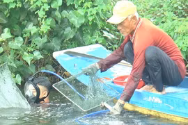 Sống ở đáy sông - bài cuối: Ăn trên bờ, sống đáy sông