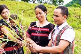 Đổi thay trên đất A Xan
