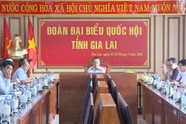 Đại biểu Quốc hội chất vấn nhiều vấn đề “nóng”