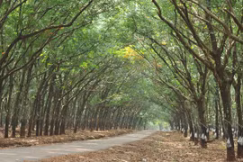 Thông báo