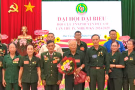 Đức Cơ: 250 triệu đồng giúp cựu thanh niên xung phong phát triển kinh tế