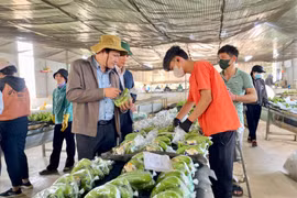Đoàn giám sát của HĐND tỉnh đi thực tế tại Nhà máy chế biến hoa quả của Công ty cổ phần Chăn nuôi Gia Lai (xã Lơ Pang, huyện Mang Yang). Ảnh: Hà Duy