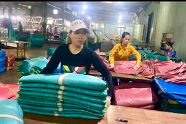 Nhà máy sản xuất bao bì của Công ty TNHH một thành viên Thiên Phúc Plastic (khu Công nghiệp Trà Đa, TP. Pleiku). Ảnh: Hà Duy