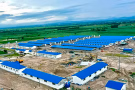 Sở Kế hoạch và Đầu tư sẽ triển khai công tác thanh tra, kiểm tra, qua đó phổ biến pháp luật cho doanh nghiệp, nhà đầu tư. Ảnh: Hà Duy