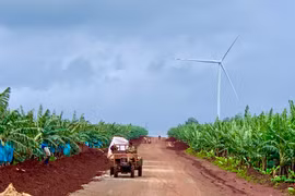 Diện tích đất nông nghiệp năm 2023 tại huyện Đak Đoa là 87.906 ha. Ảnh Hà Duy