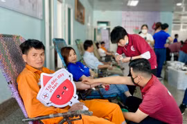 Có gần 200 cán bộ, công nhân và người lao động thuộc Công ty Điện lực Gia Lai tham gia hiến máu nhằm hưởng ứng chương trình “Tuần lễ hồng EVN lần thứ IX”. Ảnh: Hà Duy 