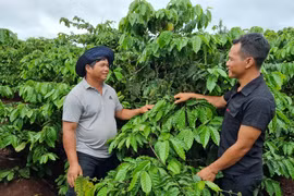 Khởi sắc nông thôn mới ở thôn Bối
