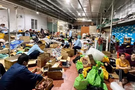 Xử phạt 15 vụ vi phạm liên quan đến thương mại điện tử