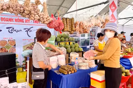 Gia Lai: Khai mạc Phiên chợ giới thiệu sản phẩm vùng đồng bào dân tộc thiểu số và miền núi 