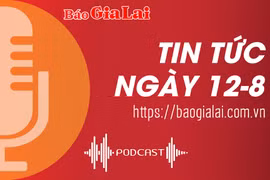 Tin tức sáng 12-8: Gia Lai kiểm kê đất đai trên phạm vi toàn tỉnh