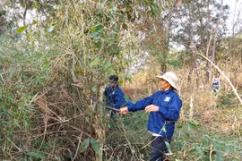 Pleiku: Cưỡng chế đất thu hồi đất giao khoán đối với ông Tưởng Tín