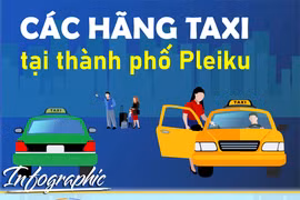 Các hãng taxi tại thành phố Pleiku