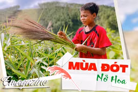 Mùa đót nở hoa