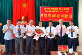 Bà Lê Thị Hồng Minh được bầu giữ chức Phó Chủ tịch UBND thị xã An Khê