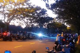 Đi bắt dế, phát hiện bộ xương người trong rừng keo
