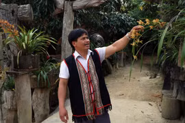 Độc đáo làng hoa giữa đại ngàn Măng Đen