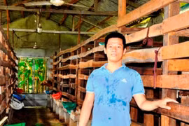Bỏ trường y, chàng trai về quê khởi nghiệp nuôi hươu sao
