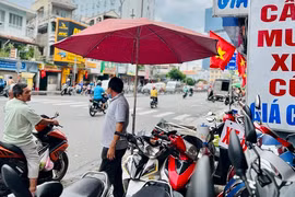 Biển số định danh: Chủ xe cũ đã chết thì sang tên chính chủ thế nào?