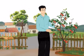 Trà my quyến rũ