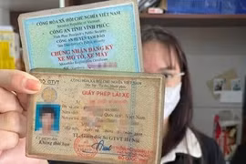 Không bắt buộc đổi giấy phép lái xe trước 2012 sang bằng PET