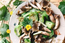 Mưa nấm mối