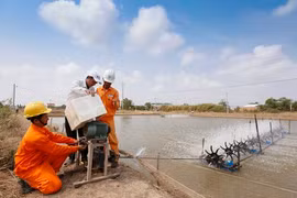 Chia sẻ và đặt hàng ngành điện 