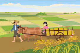 Xao xuyến tháng năm 