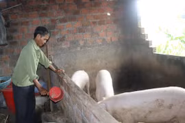 Ký ức 30/4
