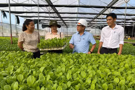 Phát triển du lịch kết hợp trải nghiệm nông nghiệp sạch ở Gia Lai