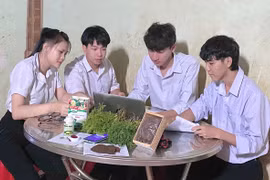 Phân bón hữu cơ của nhóm học sinh trung học