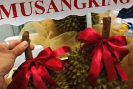 Sầu riêng Musang King rớt giá thê thảm