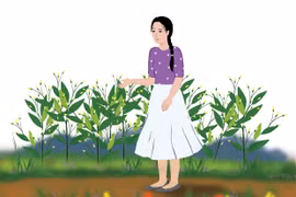 Chờ mùa