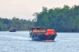 Mắt quê