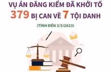 [Infographics] Khởi tố 379 bị can về 7 tội danh trong vụ án đăng kiểm 