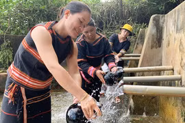 Những giọt nước trong lòng thành phố 
