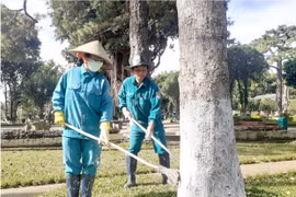 Góp sức làm đẹp Quảng trường Đại Đoàn Kết