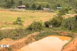 Lâm Đồng: Bốn cháu bé tử vong thương tâm khi tắm ở hồ chứa nước tưới cây