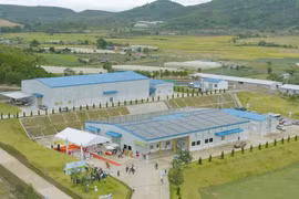 Diện tích nông nghiệp hữu cơ tại Việt Nam quá khiêm tốn