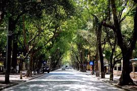 Giải nhiệt cho đô thị
