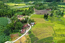 Ngôi làng của người trẻ giữa đại ngàn 