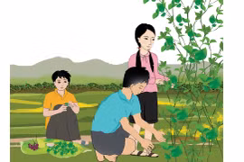 Ký ức lá giang