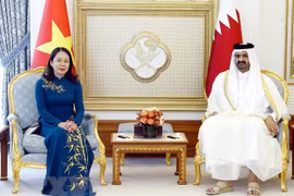 Phó Chủ tịch nước Võ Thị Ánh Xuân hội đàm với Phó Quốc vương Qatar 